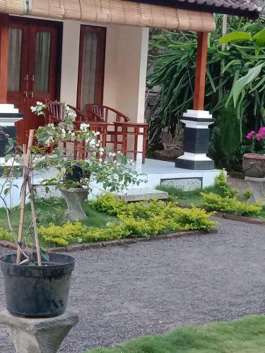 Apartamento Hause Market