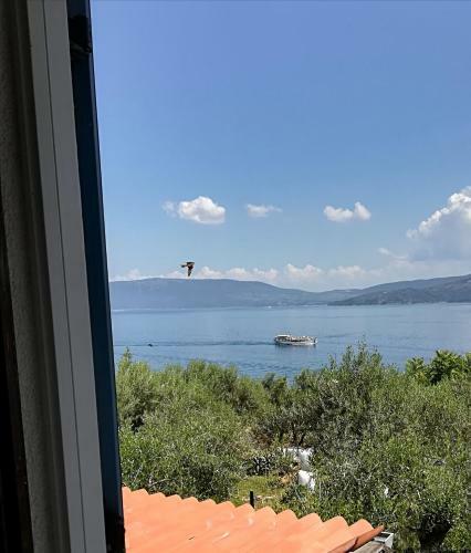 Apartamentos Sea-esta 1
