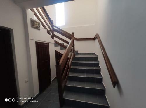 Hostal Cabana Andreea