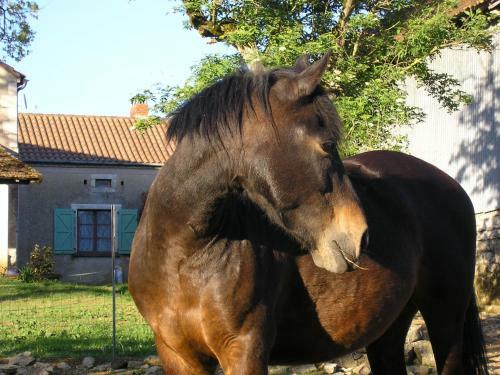 Bed & Breakfast La Ferme Jarlan