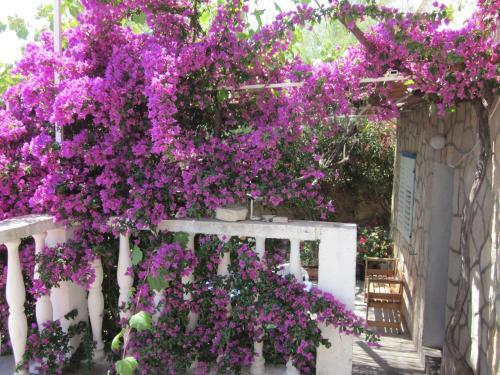 Apartamento Inzomare Hvar