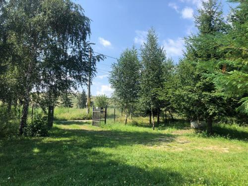 Cabana Cu Mesteceni Varatec