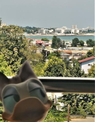 Sophia Vedere La Mare Apartament