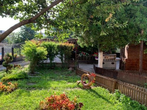 Hostal Relax Spa Costinesti - D'amy
