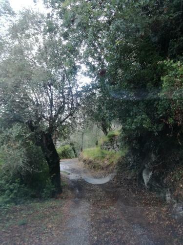 Bed & Breakfast Il Giardino Degli Ulivi