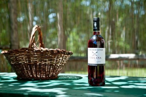 Agriturismo Marchesi Gondi