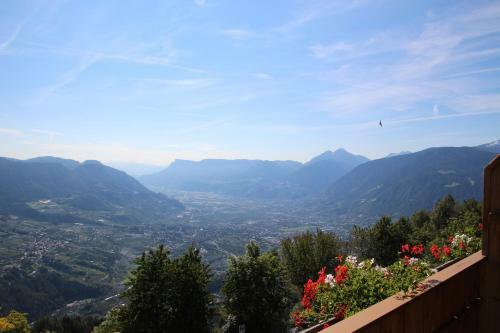 Hotel Gasthof Walde