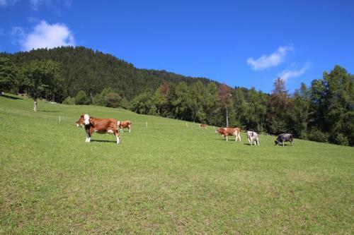 Hotel Gasthof Walde