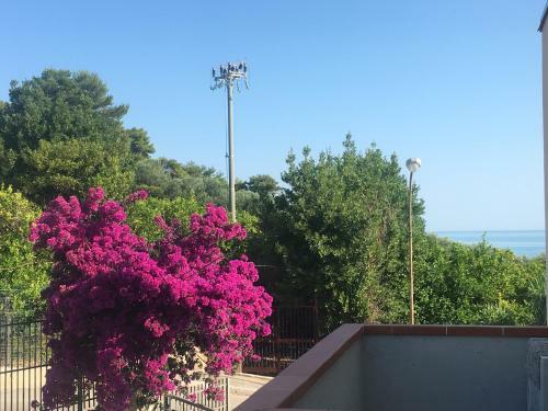 Apartamento Oasi Nel Gargano Sul Mare