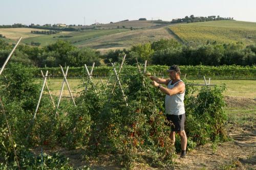 Bed & Breakfast Villa Di Agricoltori