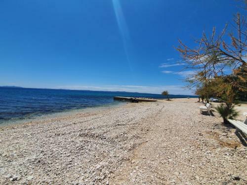 Apartmani Steli