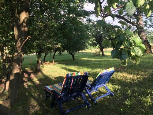 Country House 'pri Lipi'