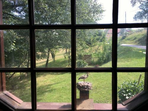 Country House 'pri Lipi'