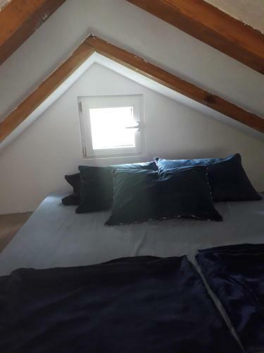 Apartman Kameno Vrelo