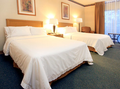 Hotel Holiday Inn Express Ciudad Victoria