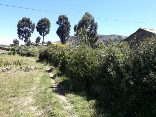 Titicaca Lodge - Isla Amantani