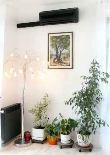 Divia Apartment