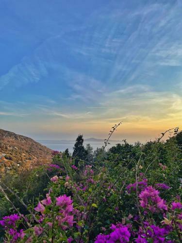 The Pomegranate Stone House - 5 Mins To Batsi