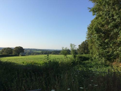 Bed & Breakfast Le Marronnier Entre Les Buis