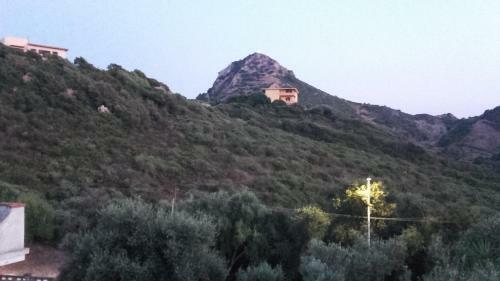 Casa Floris