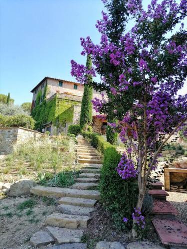Agroturismo Savignola Paolina