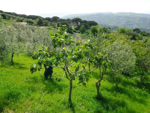 Bed & Breakfast Casa Allorello
