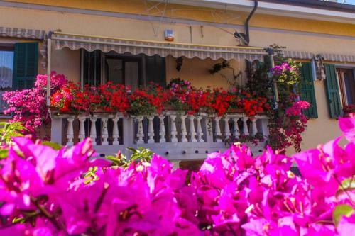 La Maison Des Bouganvilles