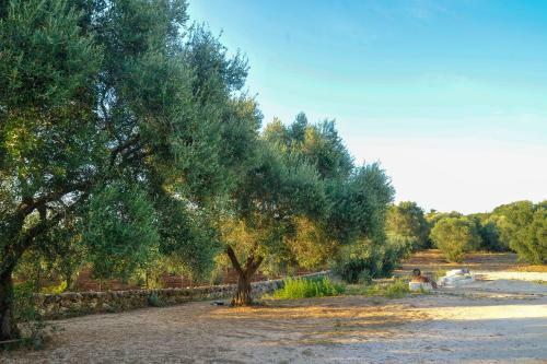 Bed & Breakfast Oasi Degli Allori