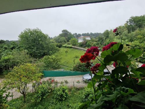Hostal Pensi�n Tximistarri