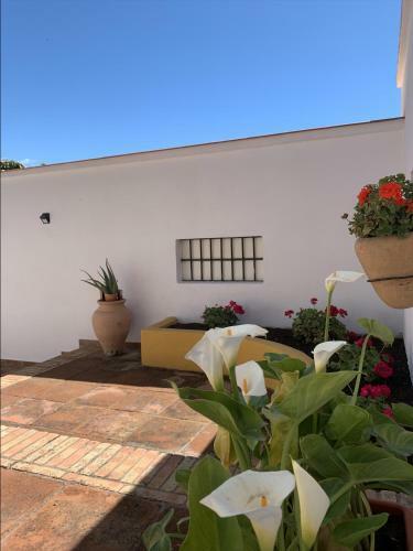 Encantador Apartamento-c�ntrico-con Amplio Jard�n