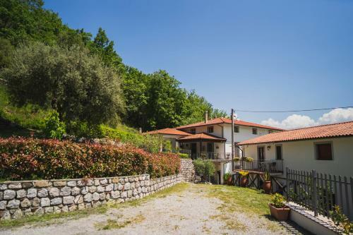 Apartamento Agriturismo La Valle Degli Ulivi