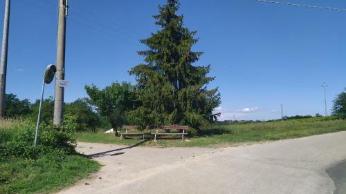 Hostal La Rondinella