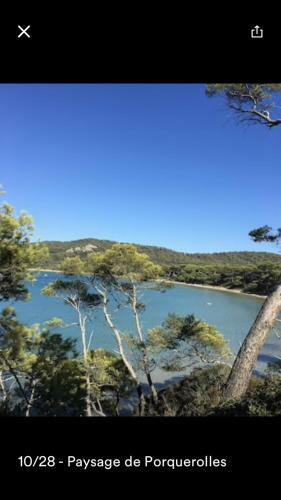 Voilier A Quai Porquerolles