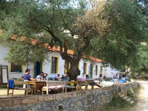 Shkolla Hostel & Camping