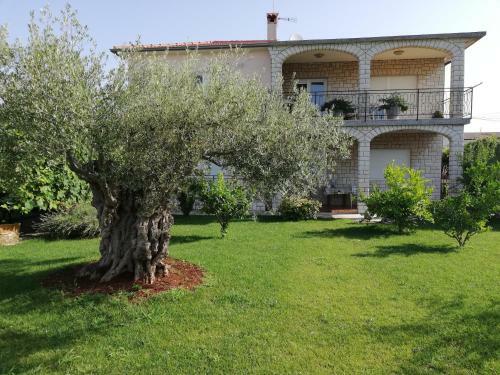 Apartamento App Jankovic
