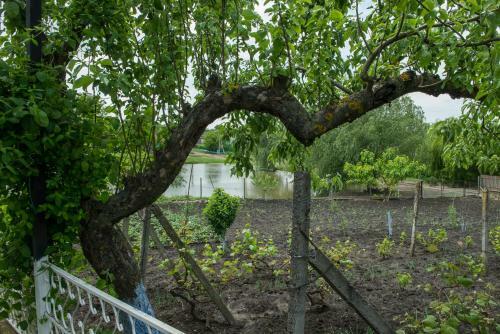 Agroturismo C?su?a De L�ng? Lac