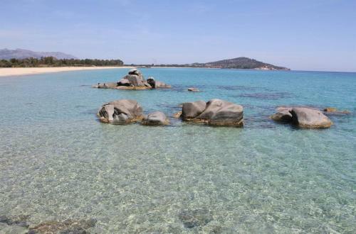 Villa Per Le Vacanze Le Palme