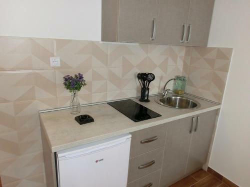 Apartamentos Villa Slovenika