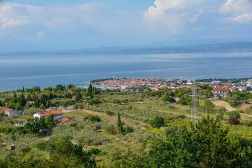 Viler Apartments Izola