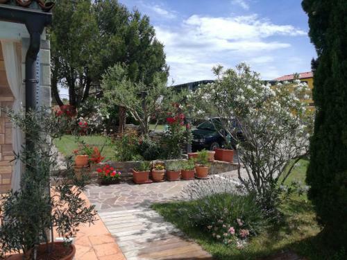Apartamento La Belavista