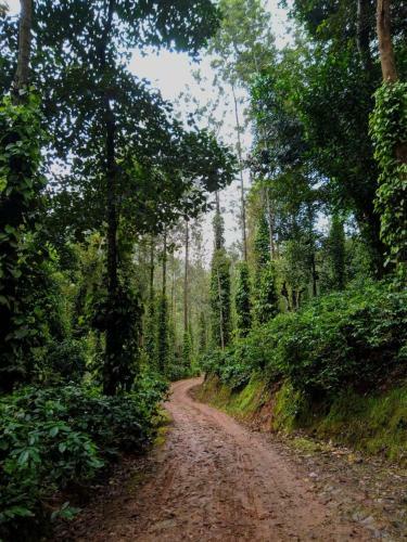 Siderbhan Homestay Chikmagalur