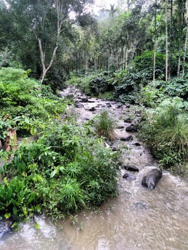 Siderbhan Homestay Chikmagalur