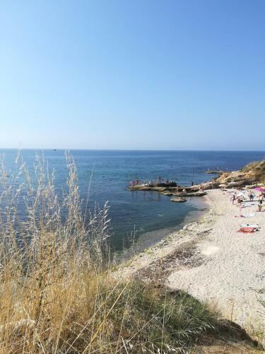 Atlantis In