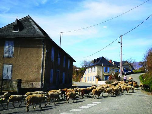Bed & Breakfast Chambres D'h�tes La Terrasse D'argein