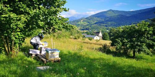 Bed & Breakfast Chambres D'h�tes La Terrasse D'argein