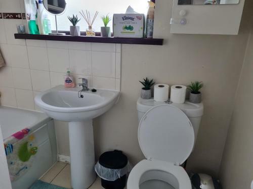 Brooks Homestay