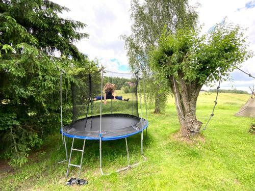 Apartament Lajkonik