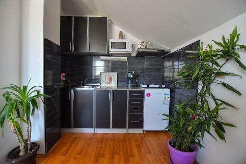 Apartamento Nana Tekija