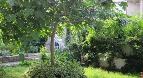 Hostal Guest House La Rose