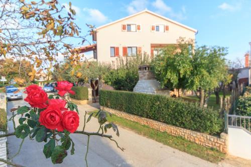 Apartamento Guest House Ljubica